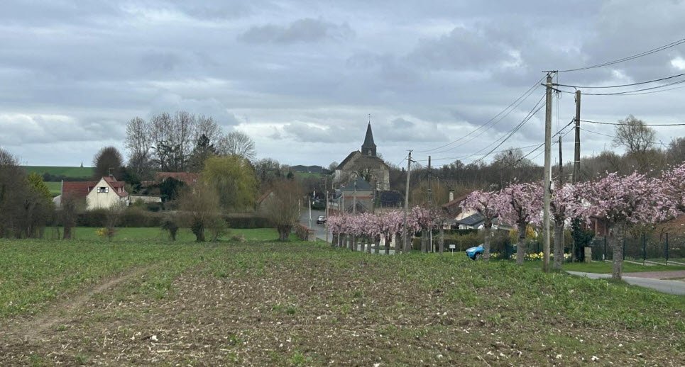Arboretum de Tigny-Noyelle, Tigny-Noyelle, France